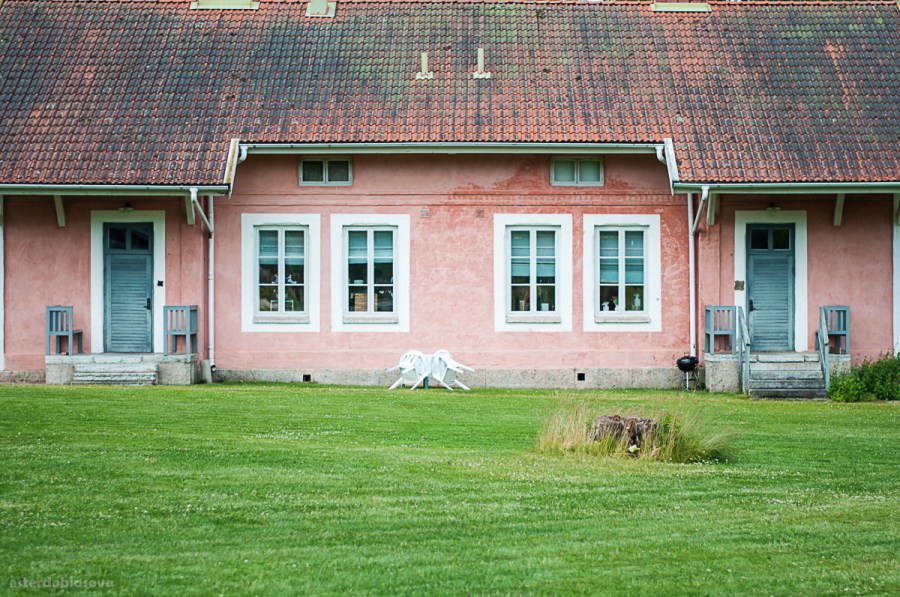 DSC_0573