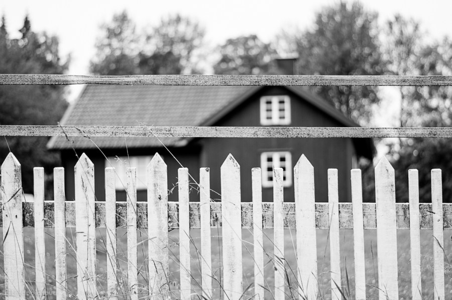 DSC_0668