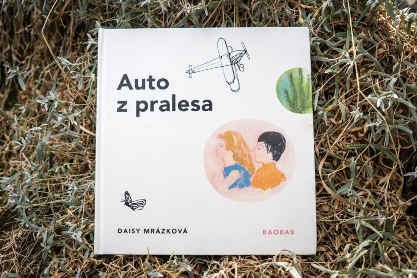 Auto z pralesa (1)