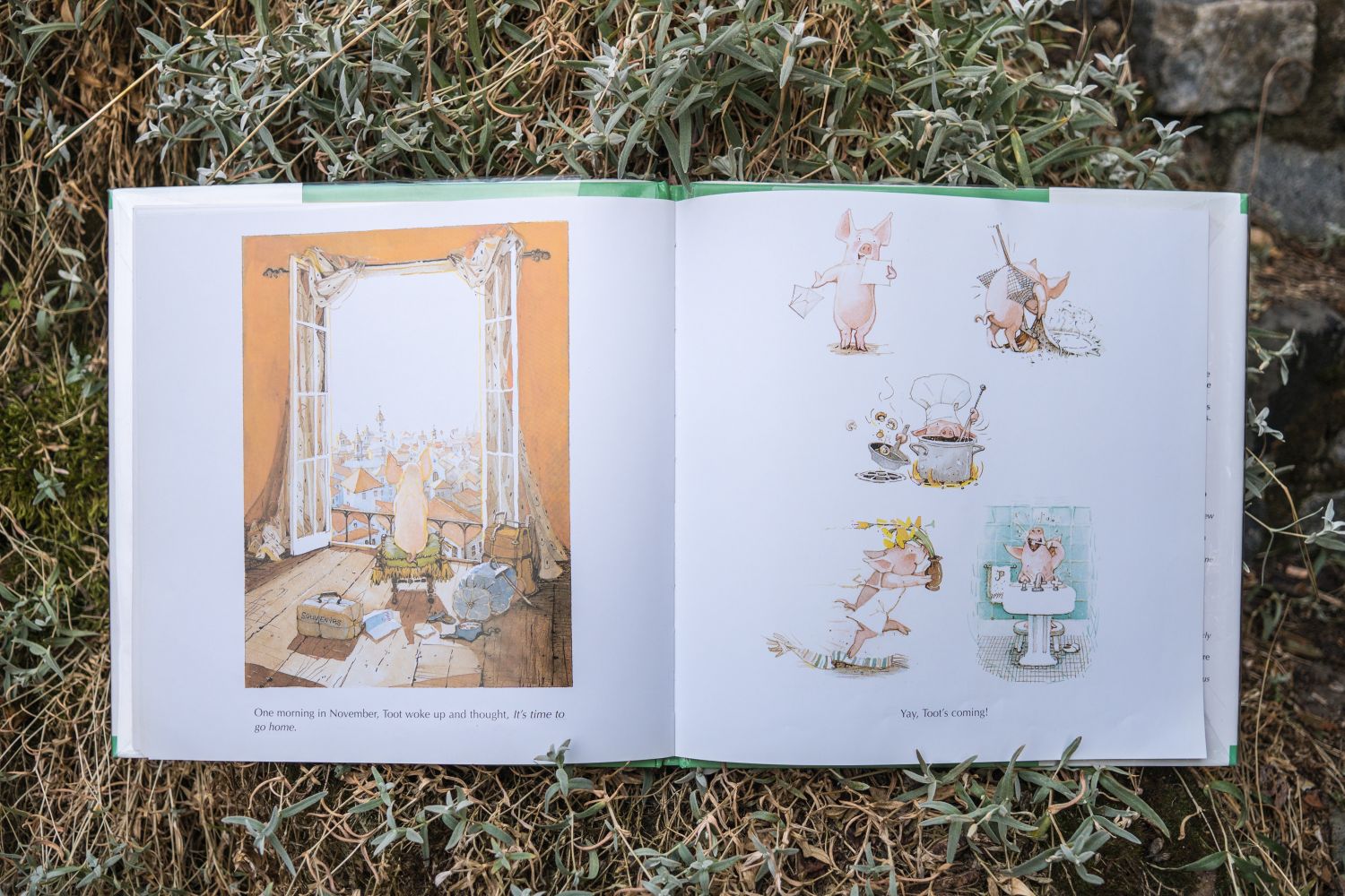 Toot and Puddle (4)