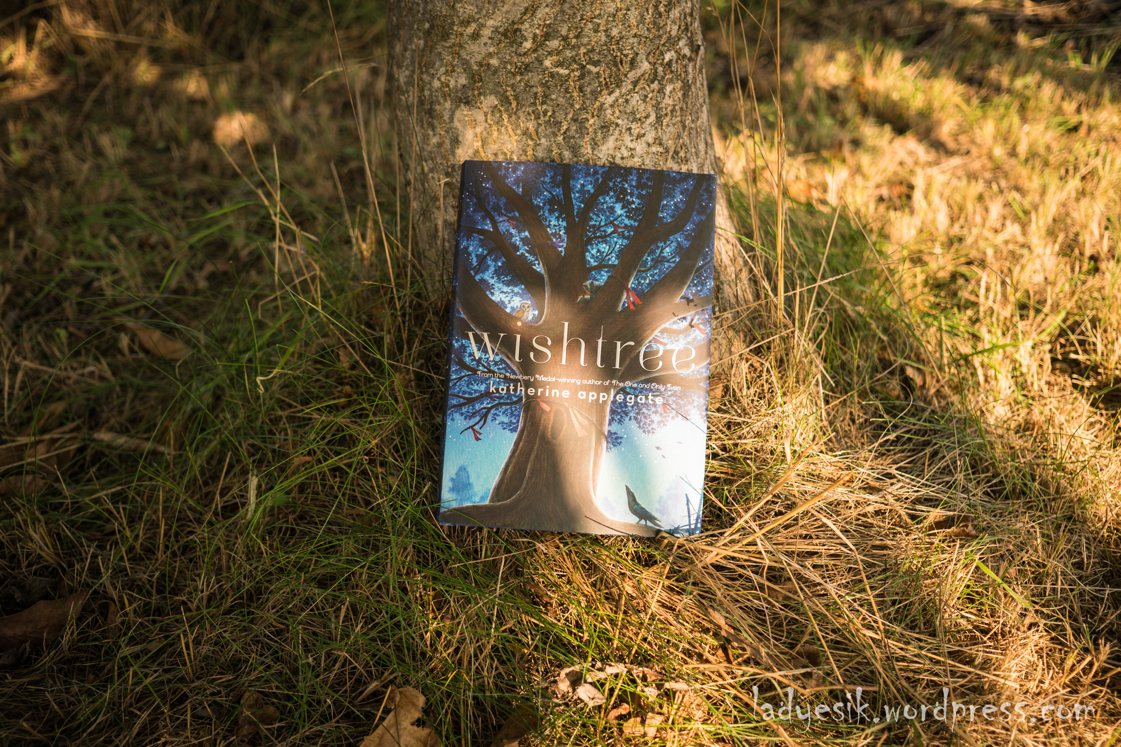 Wishtree (1).jpg