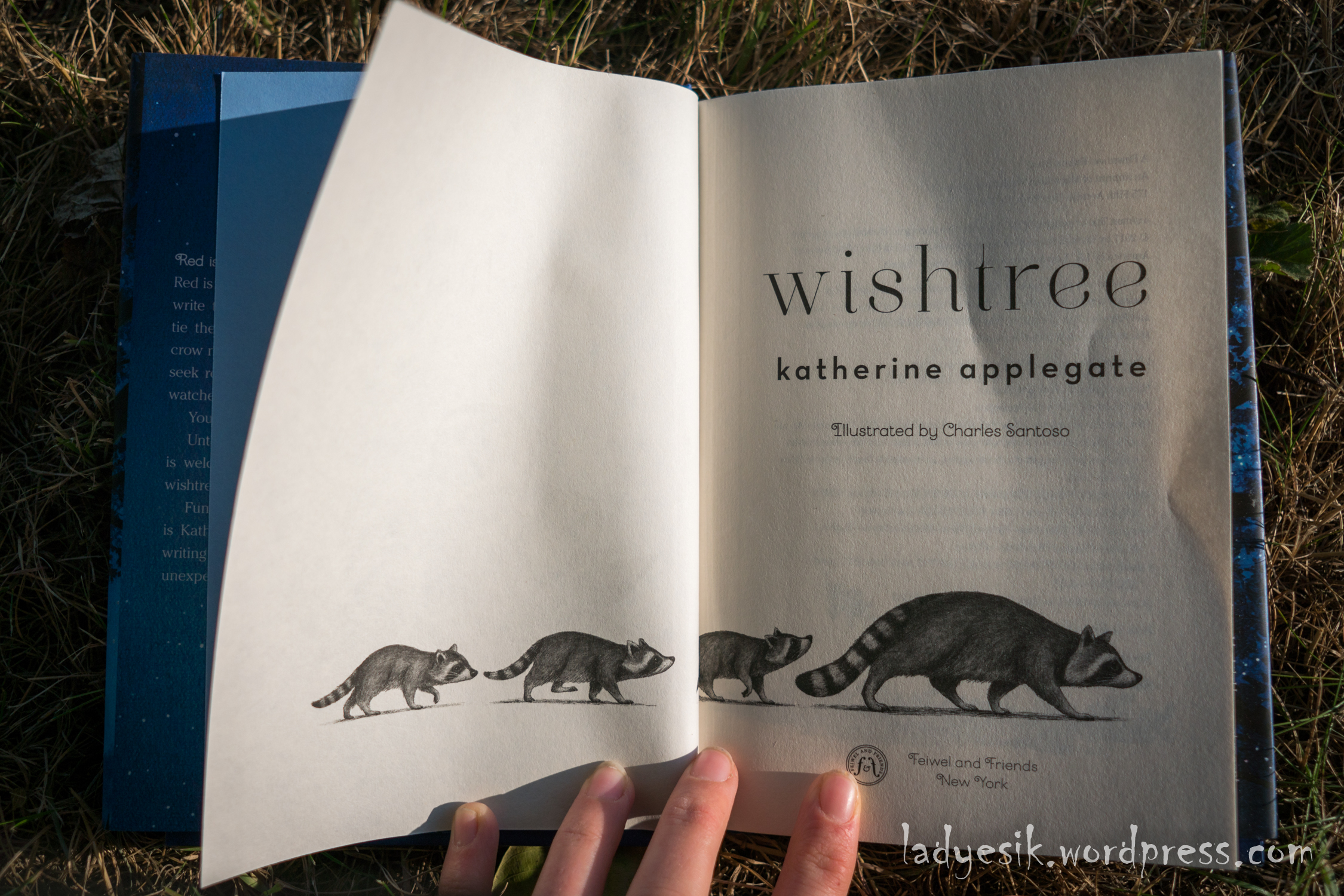 Wishtree (2)
