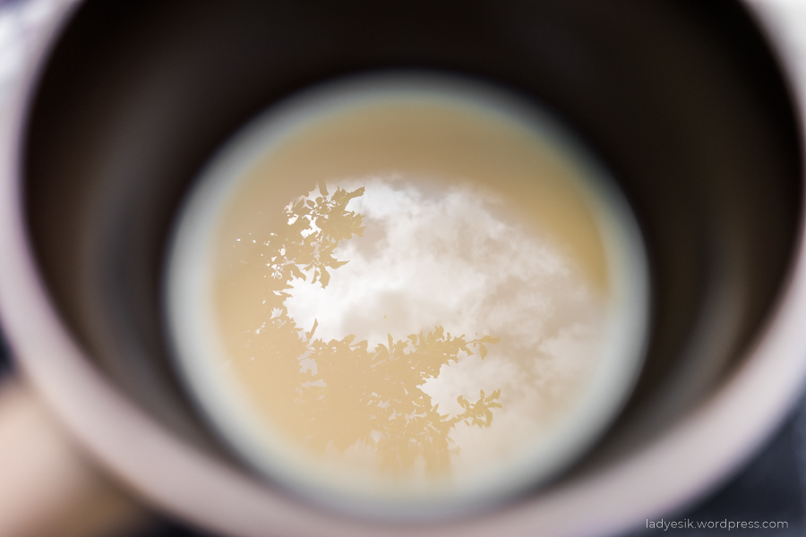 DSC01424.jpg
