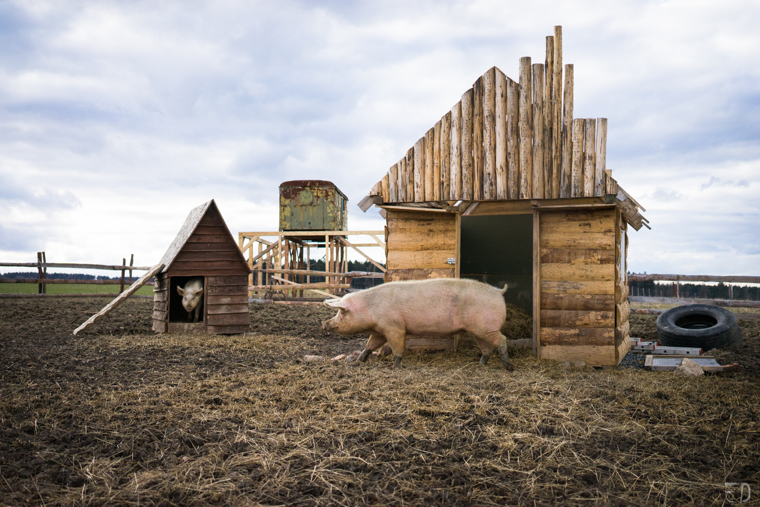 2019_březen_Farma-Nadeje_Dobiasova (13)
