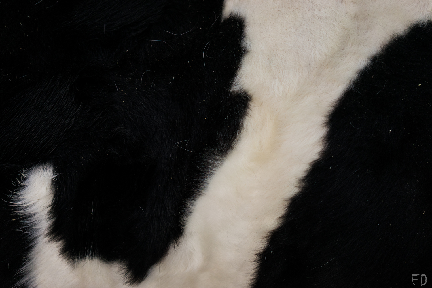 2019_březen_Farma-Nadeje_Dobiasova (18)