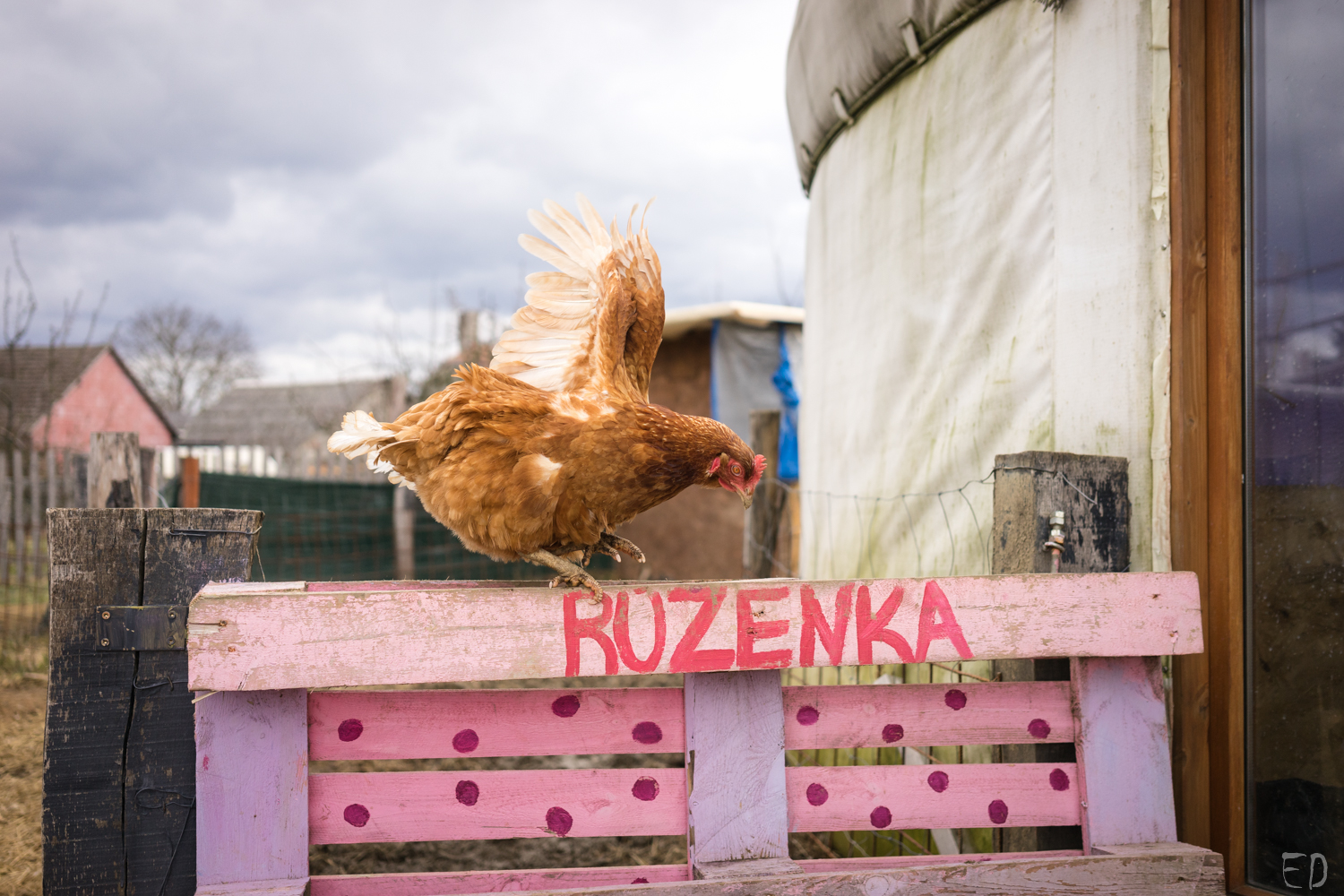2019_březen_Farma-Nadeje_Dobiasova (9)