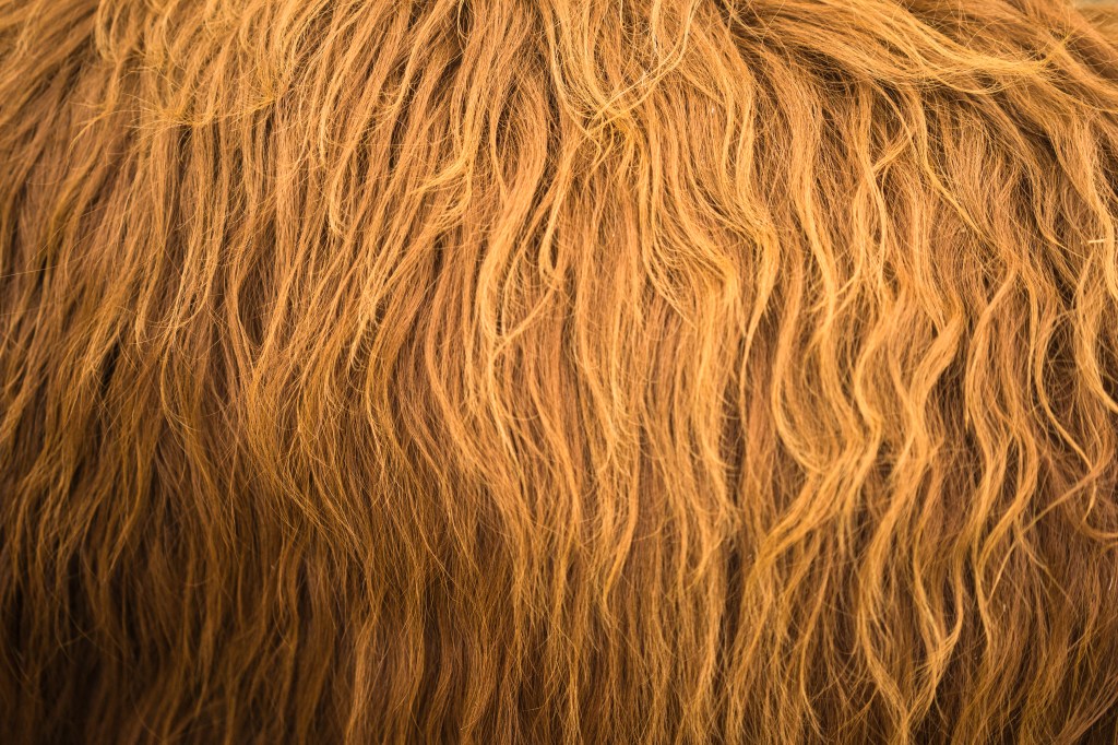 For stories to the Hope Farm&nbsp;sanctuary